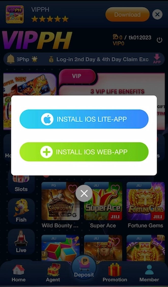 Step 2: The system will display 2 options for you to choose from. Select the option “INSTALL IOS-LITE APP”.