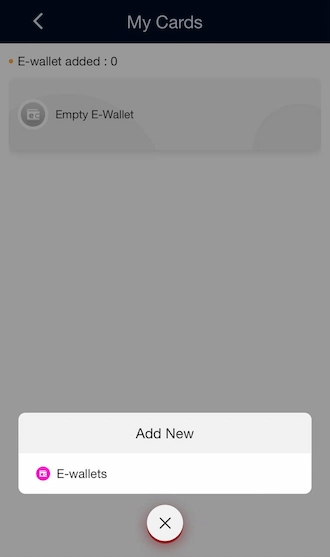 Step 3: Then an Add New item will appear, select "E-Wallets".